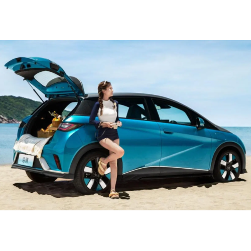 2023 BYD dolphin EV Auto Adult 401km 420km new energy Vehicle Electric Car